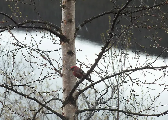 לינה וארוחת בוקר Pohjan Tuli *